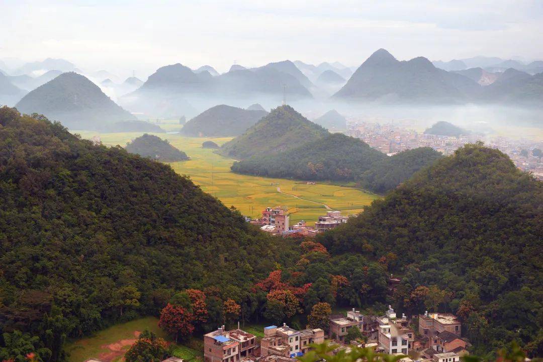 马关县_砚山县_普者黑