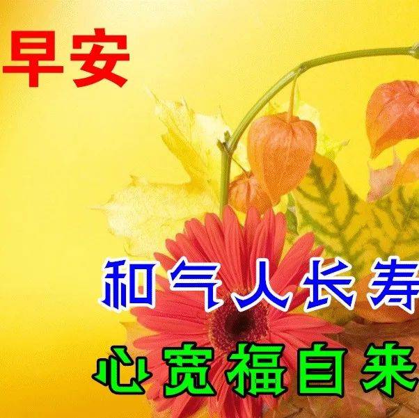 8月29日秋天早上好动态表情图片及早晨好动图美图大全 收获 生活 时间