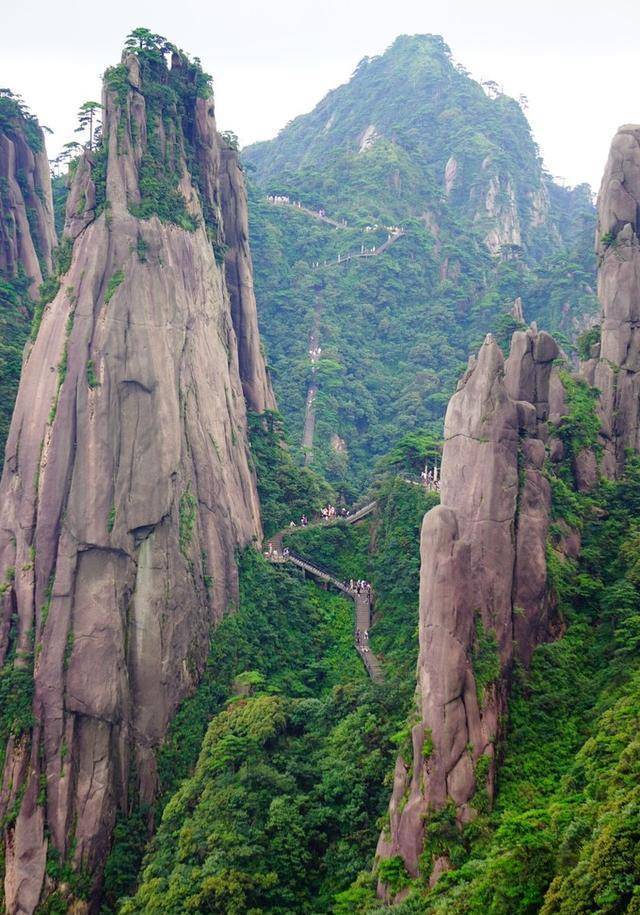 三清山巨蟒峰的是濒危景点,峰顶上有什么,竟有人不惜代价地攀登_山峰