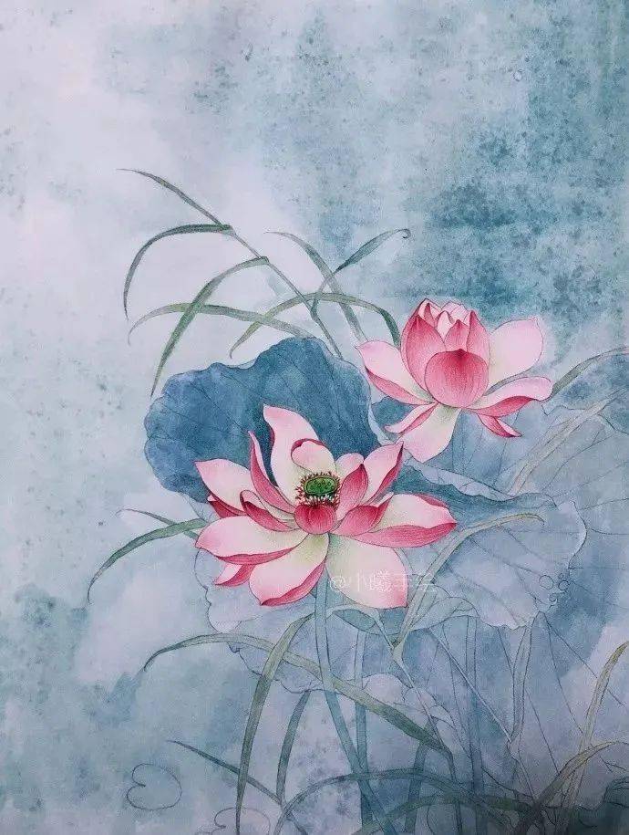 彩铅版中国风荷花,美!_图文_版权_网络