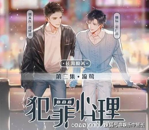 《犯罪心理》宋声声遭遇了什么?李景天和宋声声的结局是什么?