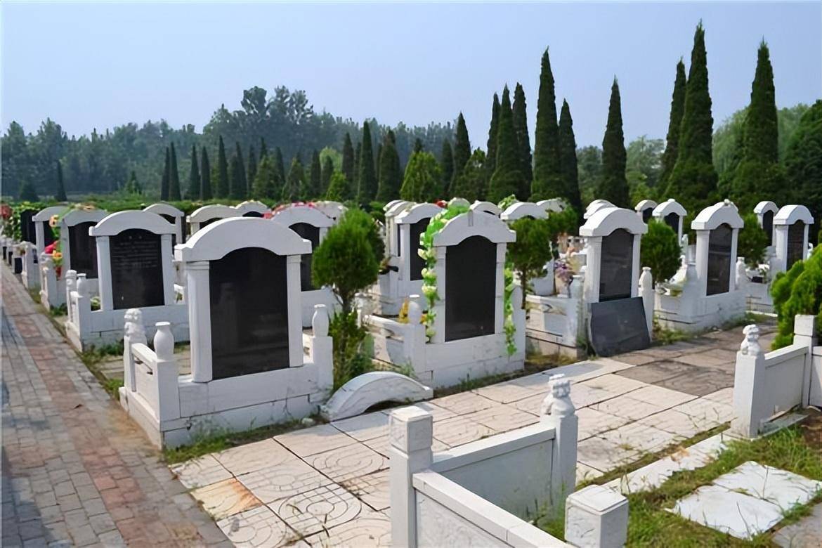墓地使用期限只有年 租约到期后 如果子女不来续费怎么处理 公墓 墓园 管理费