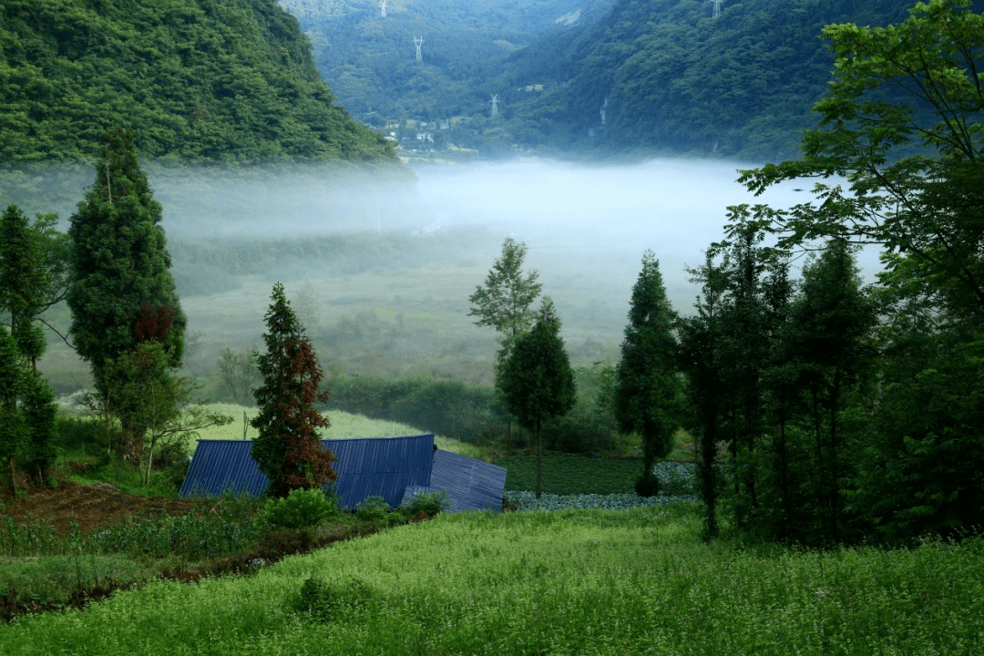 【今日分享】大瓦山绝美风景正上线,现在去刚刚好!_湿地_黄花_公园