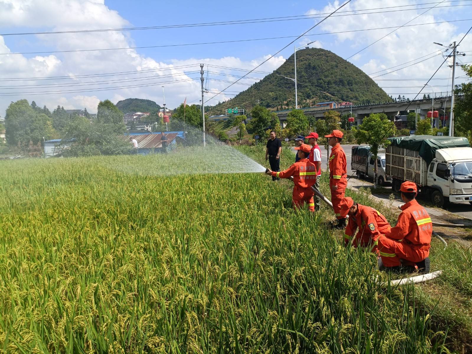 丹寨县金泉街道:心系群众出实招 抗旱送水解民忧