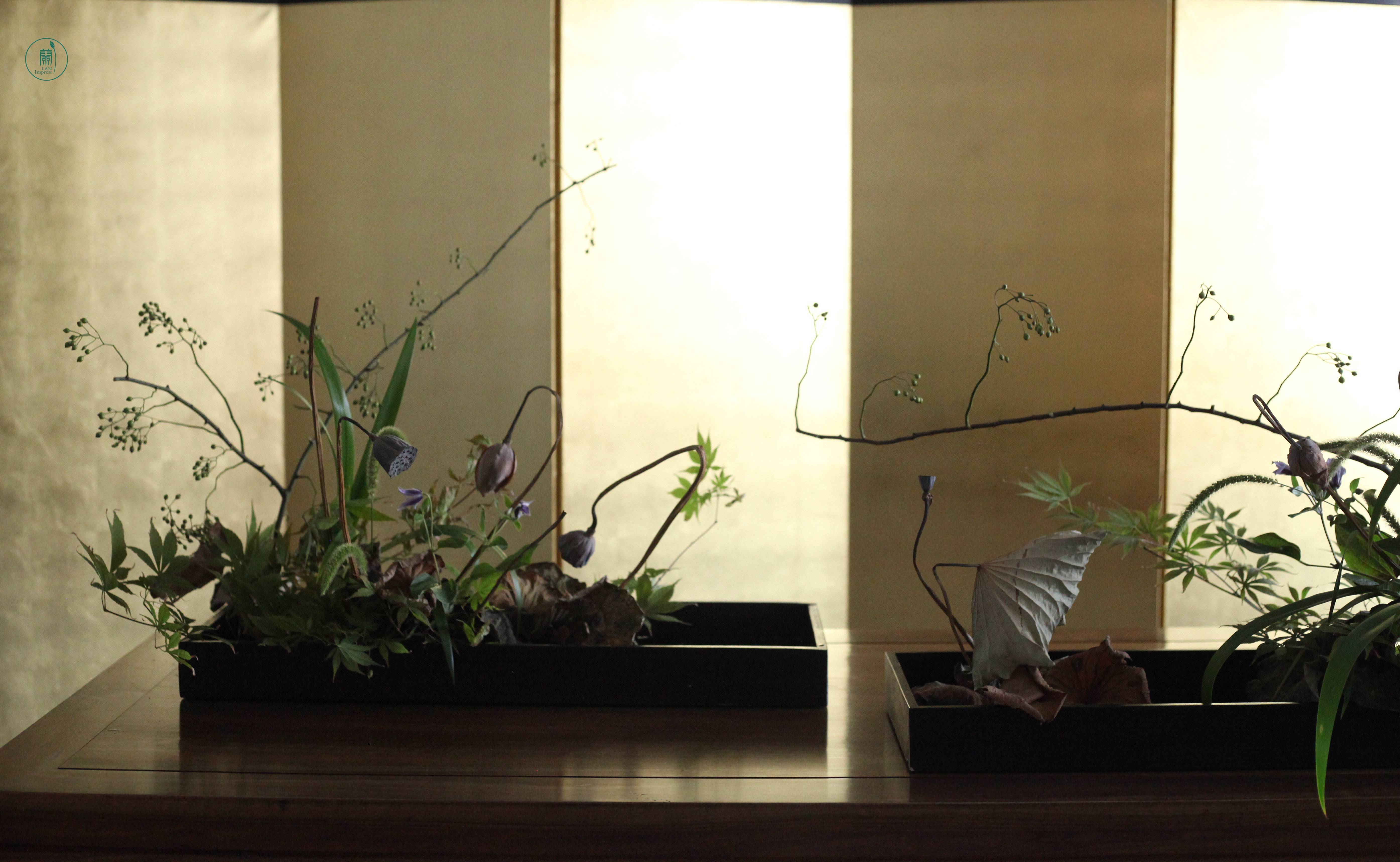 留得枯荷听雨|颓与新意境插花#蘭印象花道专题研修——秋之枯荷 留得枯荷听雨|颓与新意境插花#蘭印象花道专题研修——秋之枯荷