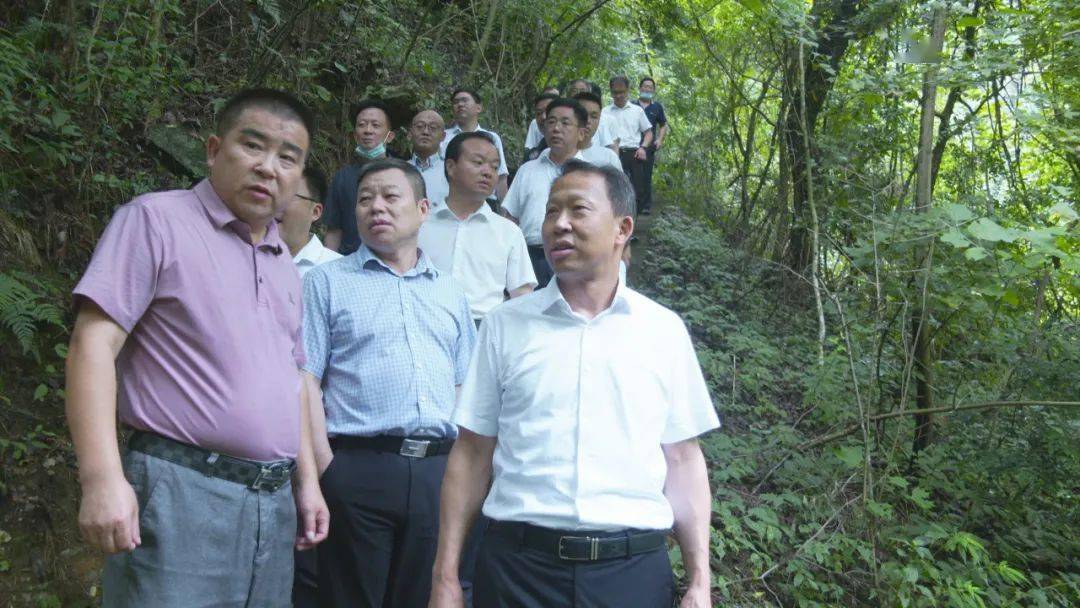市人大常委会主任张社教,县委书记胡安元,县人大常委会主任蔡寿益参加