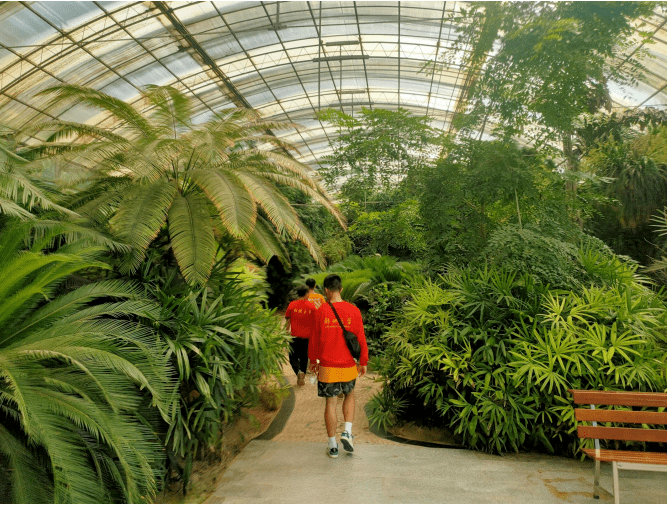 團隊還去了南街村的農業觀光園,這是一座巨大的植物王國,分成若干區域