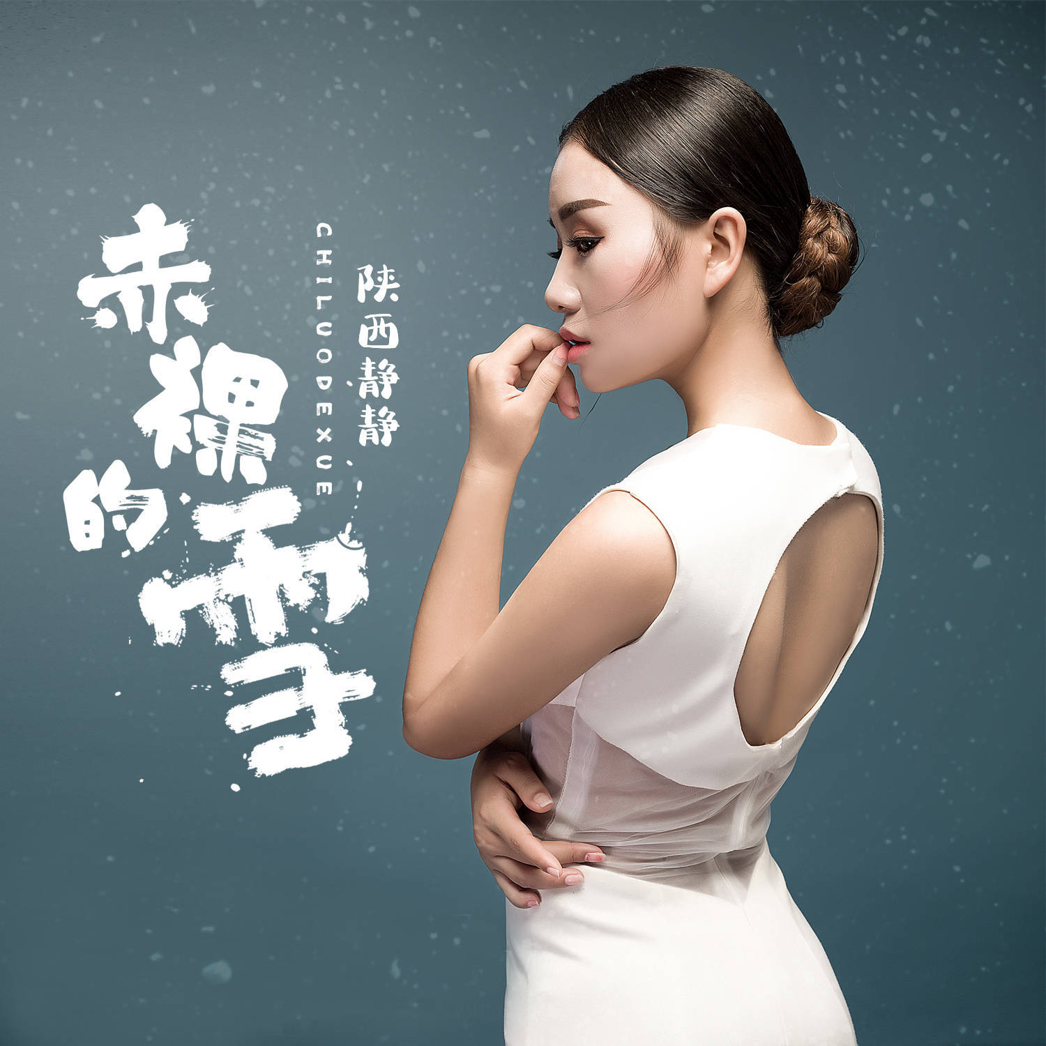 用歌唱出心中梦想---华语女歌手刘静的追梦之路_音乐_生活_向光