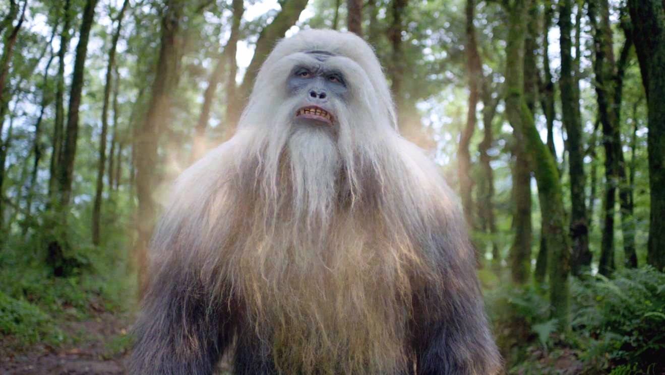 斗罗大陆电视剧唐昊是叶知秋背后之人?