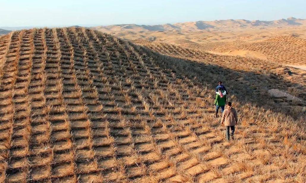 毛乌素沙漠即将消失,同为沙漠的塔克拉玛干,为何不会被消灭呢?