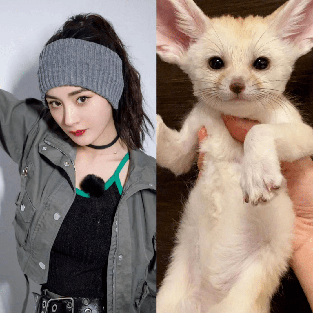 别骂了,内娱需要她这种狐狸精_造型_长相_线条