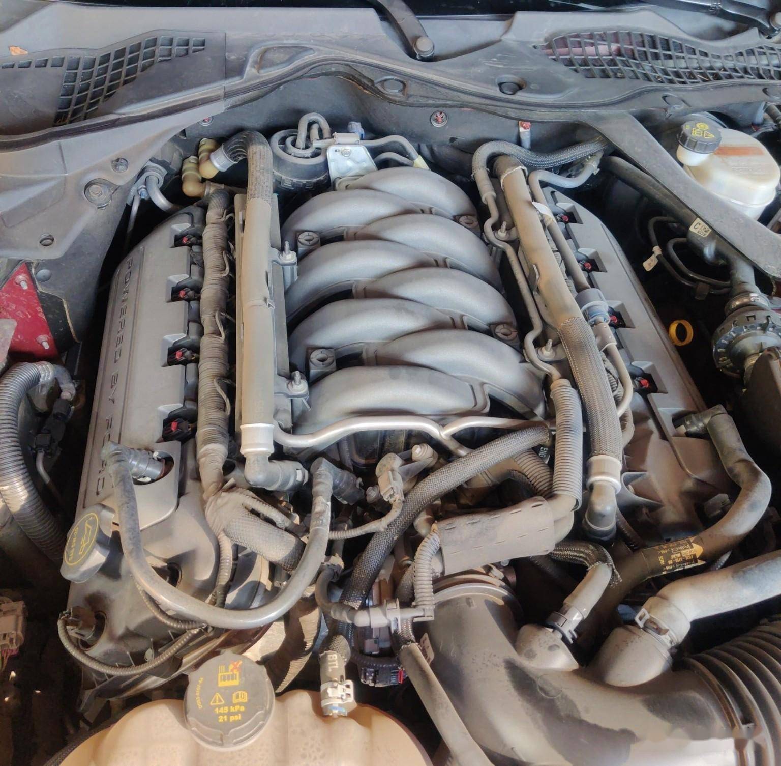 发动机也挑不出任何毛病,上下一颗螺丝未动,漏油也是未见踪迹,如果