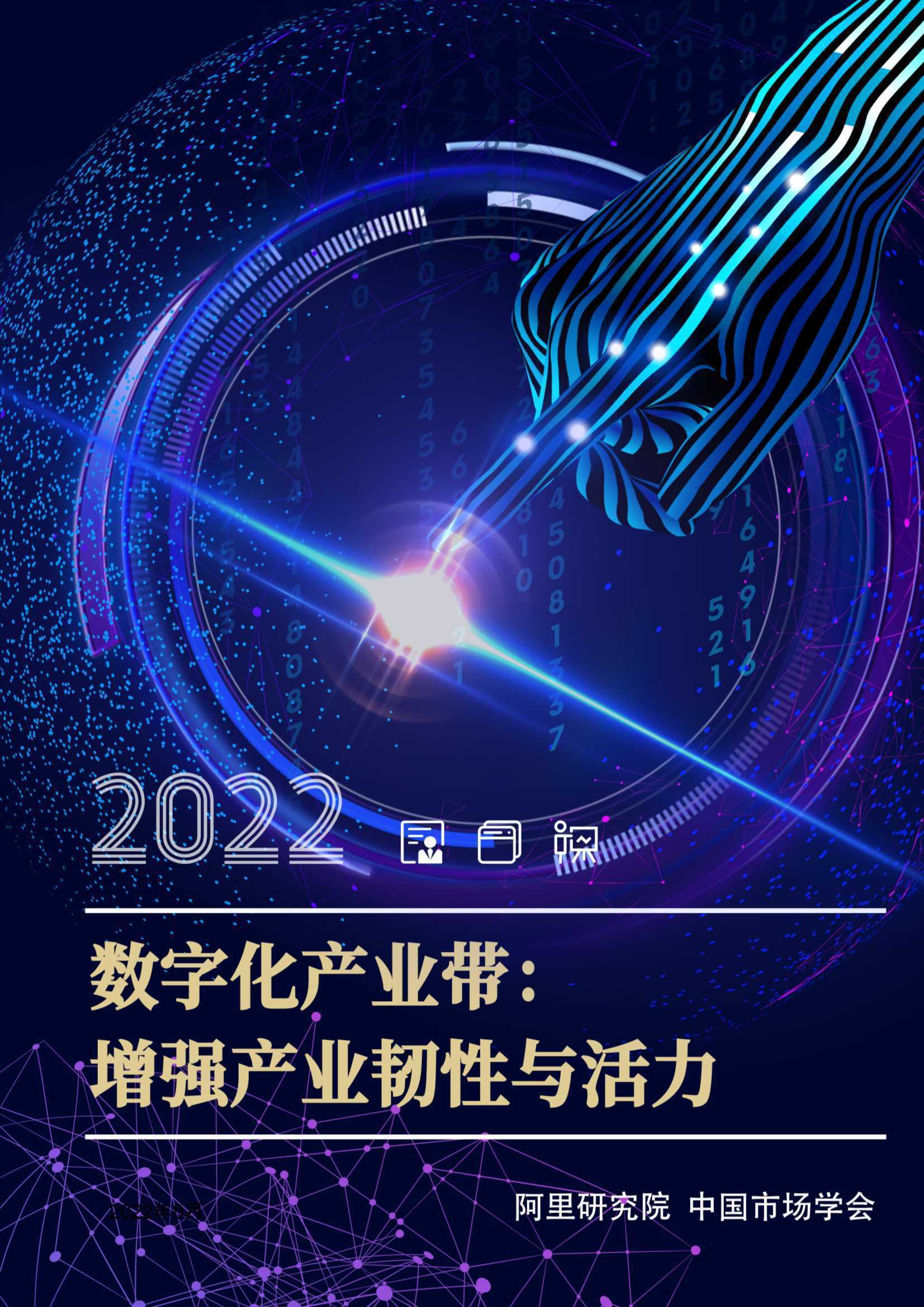 数字化产业带：增强产业韧性与活力（阿里研究院） 