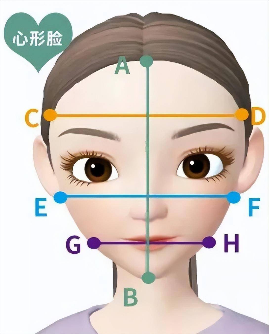 判断脸型