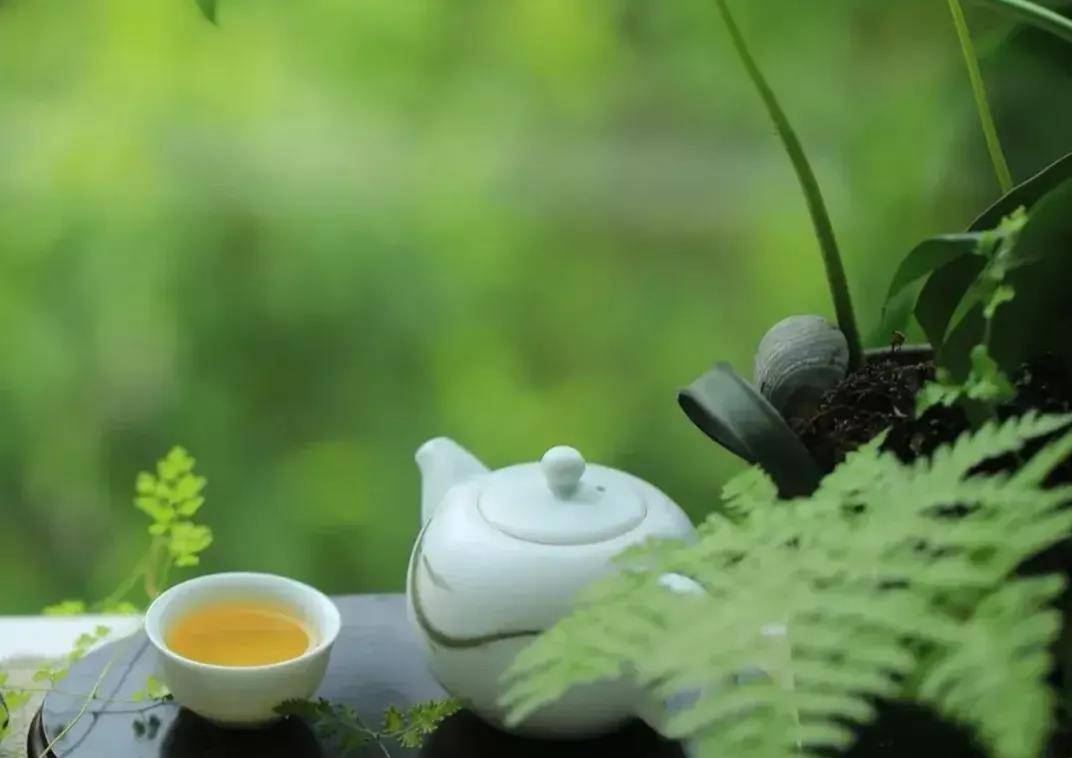 52岁阿姨坦言:静气,经济独立又精神自主的女人,定能把日子过好_生活