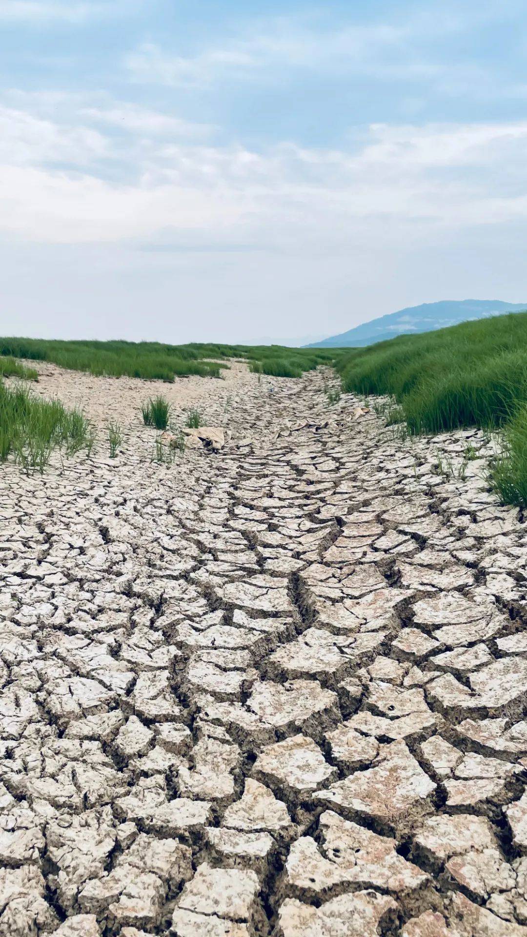 鄱阳湖大旱,湖床正在变草原_庐山_周报_时代