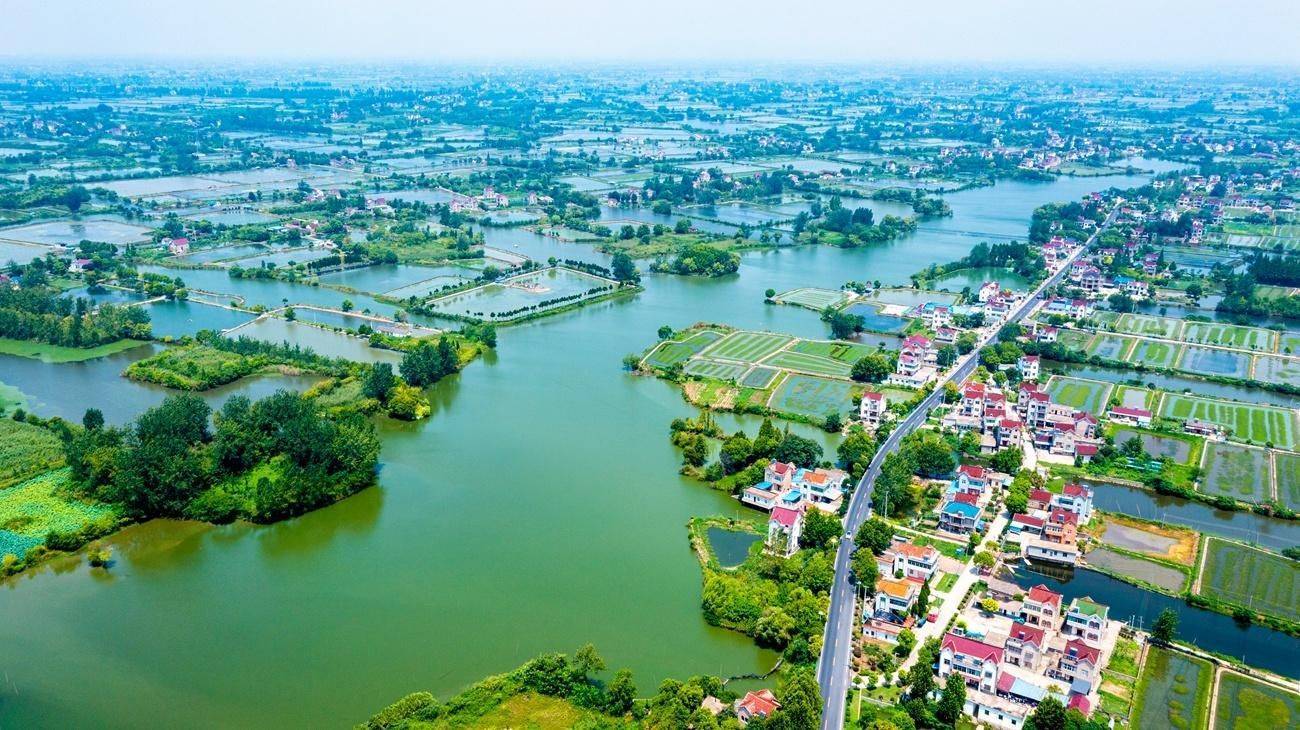 塘南镇_城市_江心洲