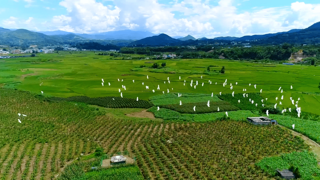 临沧双江:建设美丽城市 共享美好生活