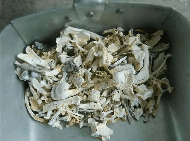 其实很多人都被骗了_死亡_骨灰_燃烧室