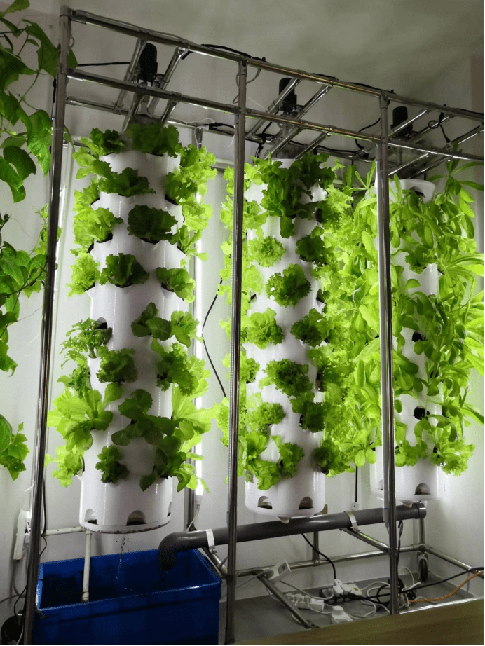 无土栽培农业研学实践教育基地,水培设备配套设施,这些能用到!