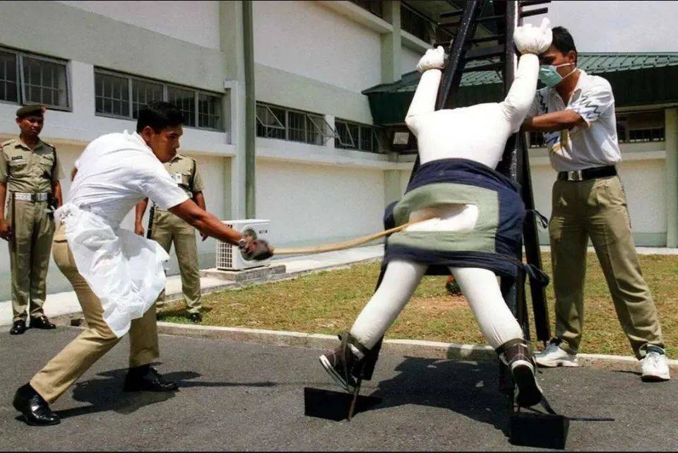 体验新加坡鞭刑作文图片