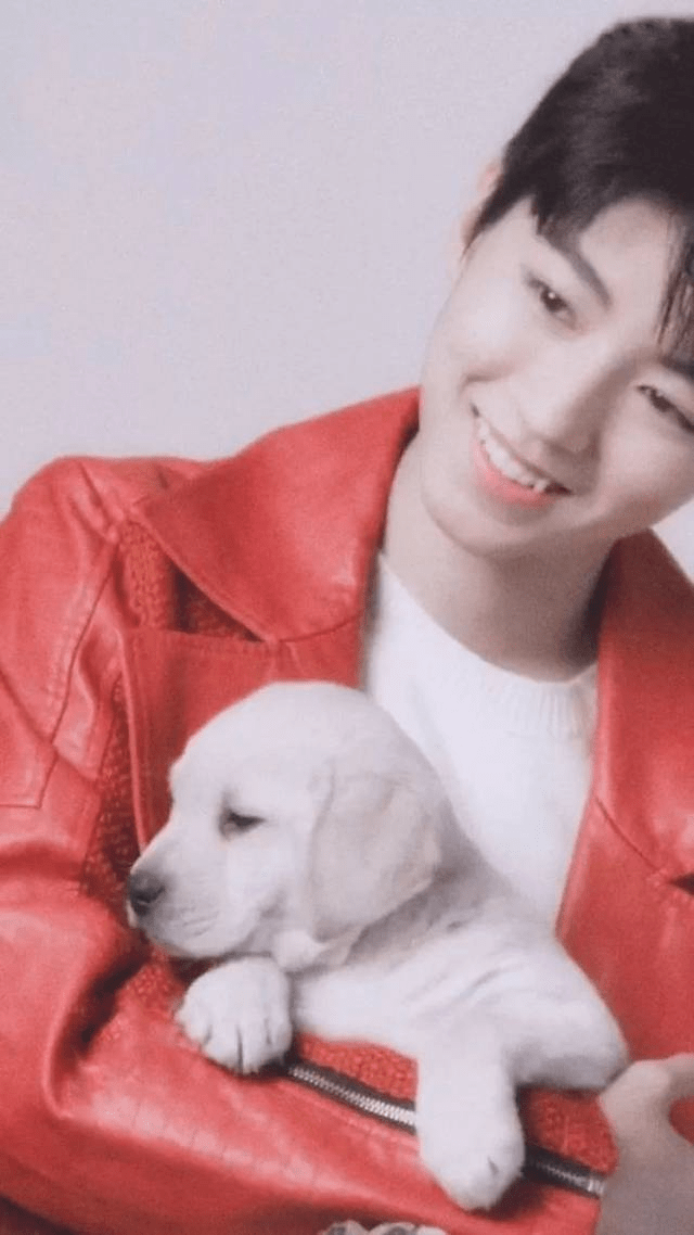 躲过了王俊凯的小虎牙,却被他征服_吴亦凡_鹿晗_肖战