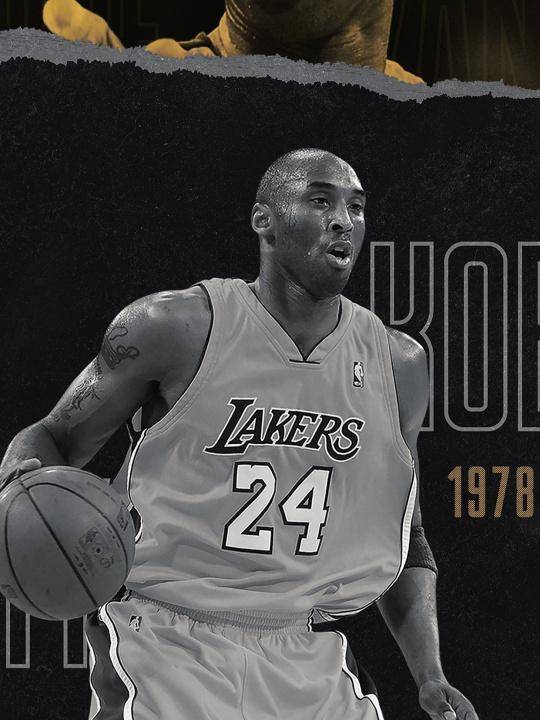 黑曼巴科比 来自搜狐网