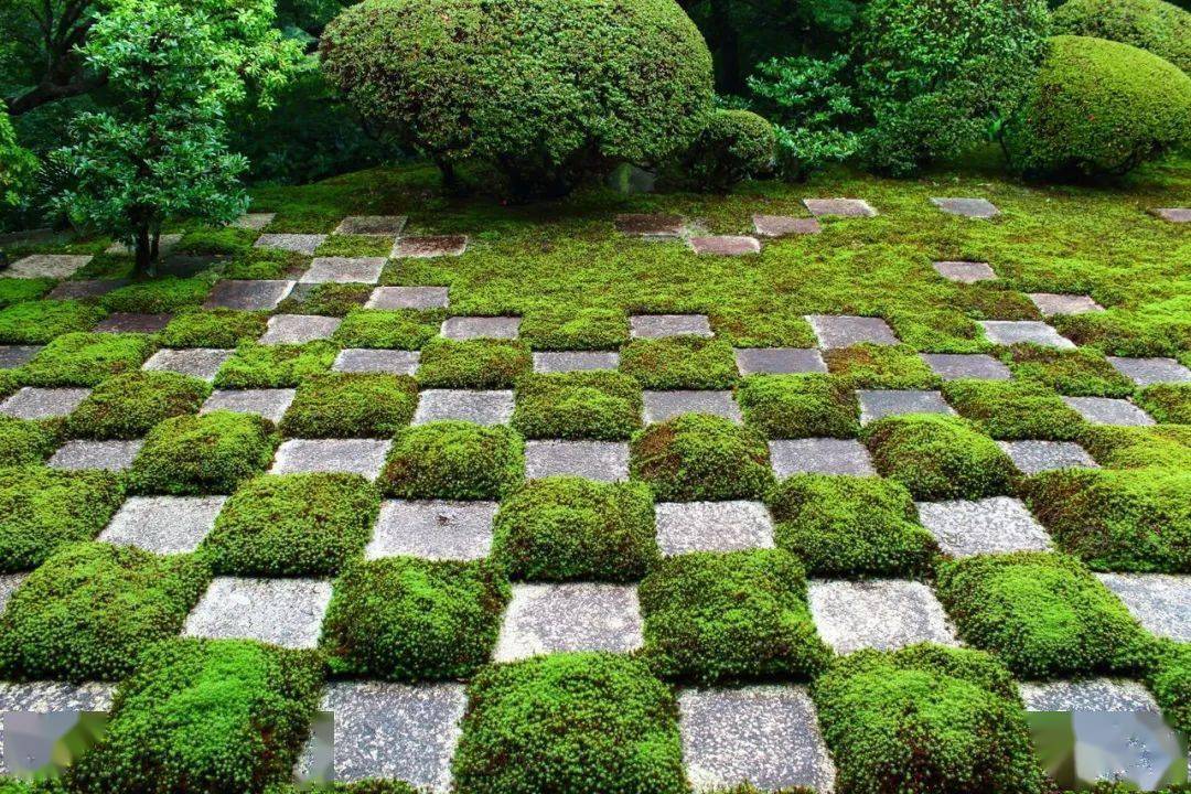 日式园林中的青苔文化_庭园_日本_人们