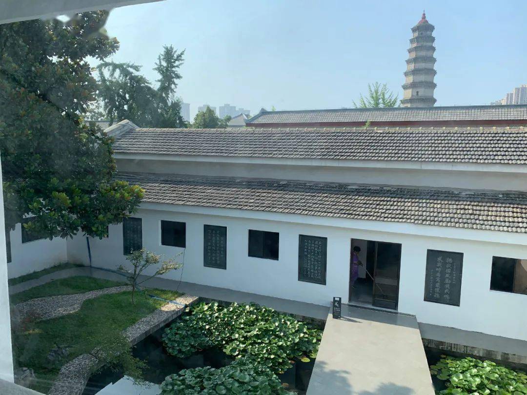 滕州市美术馆(王学仲艺术馆)志愿者招聘启事_服务_工作_观众