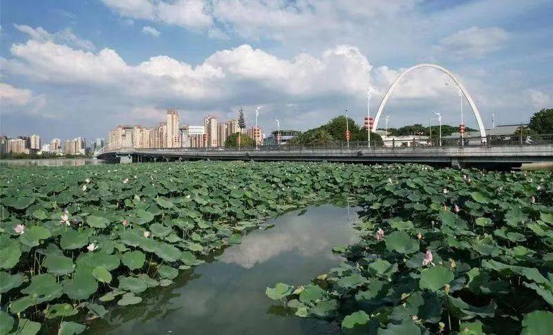 洋澜湖(东)湿地公园说:最美城市公园请投我一票!