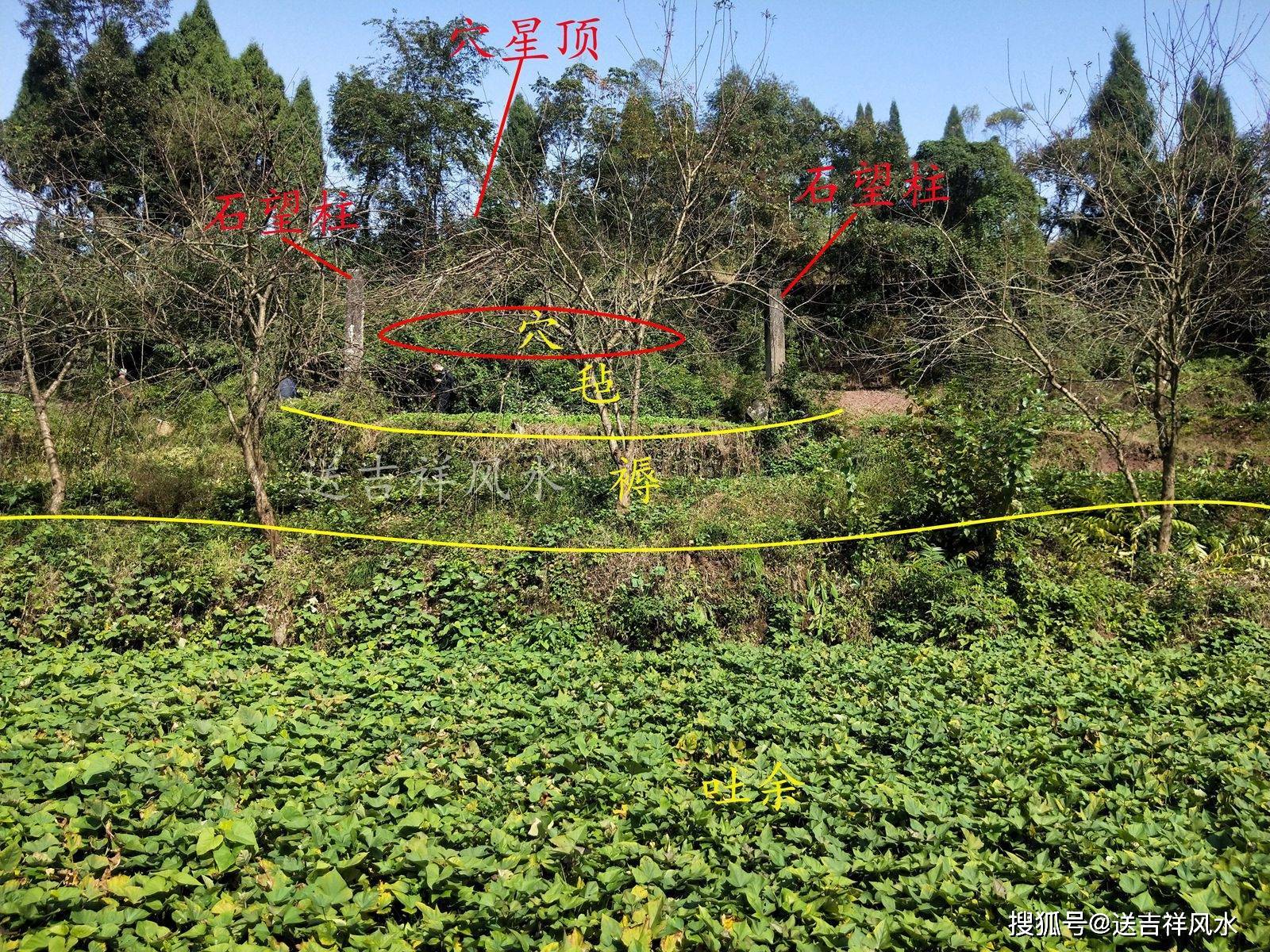 曾经的大财主请下名师点下的倒钱入袋风水地_土匪_龙脉_簸箕