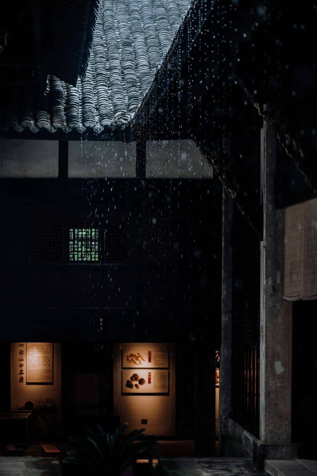 一场秋雨一幅美景雨后的津城美得令人向往
