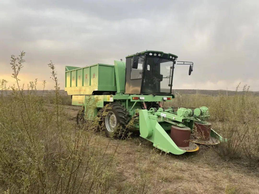 科技重大专项破解柠条平茬收获装备制约难题_灌木_草原_机械化