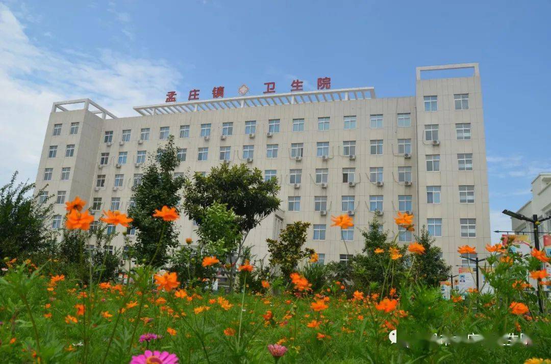 针对疫情,辉县市孟庄镇卫生院组织医护人员再培训,再要求,再落实.