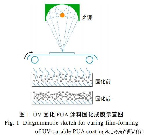 其固化过程实际上是聚合交联过程,当紫外光源照射到光固化 pua涂料上