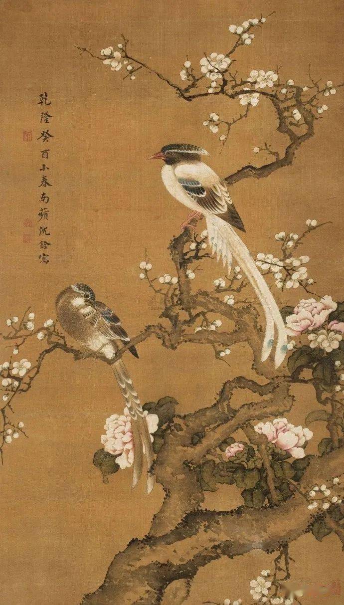 名品视界】清代沈铨花鸟画作品欣赏_搜狐网