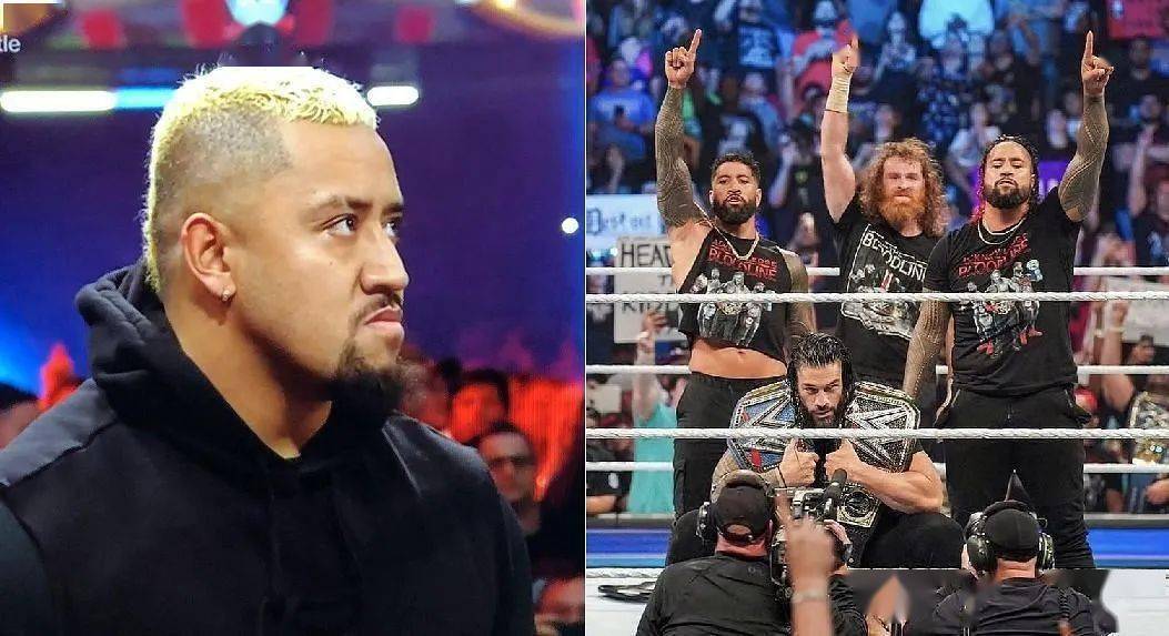 索洛西科亚在城堡大赛中与罗曼结盟的原因_萨米辛_乌索_雷恩