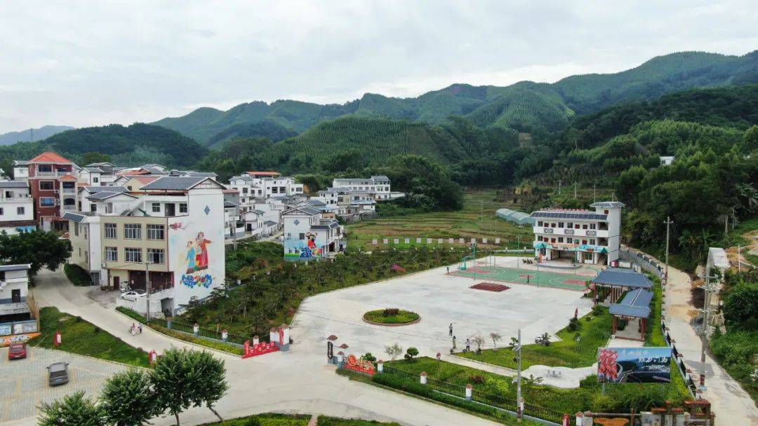 文明新风尚 幸福美丽村——马山县林圩镇"一约四会"催生"文明之花"_村