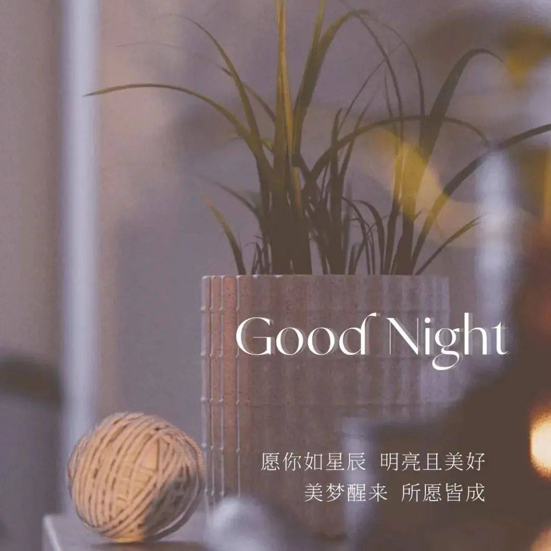 微信晚安祝福语：祝你晚安，好梦！_生活