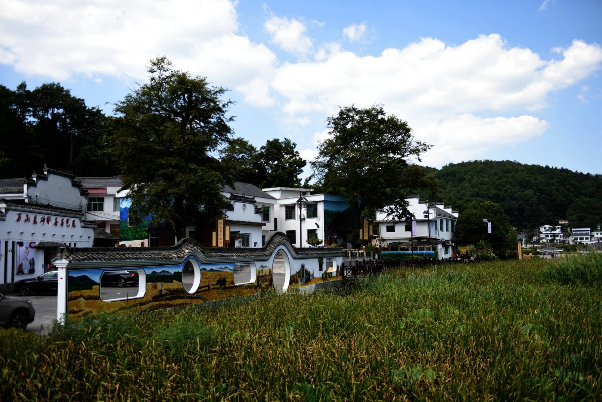 万山区高楼坪乡黄家寨:特色田园乡村促进群众收入助力乡村振兴_生态