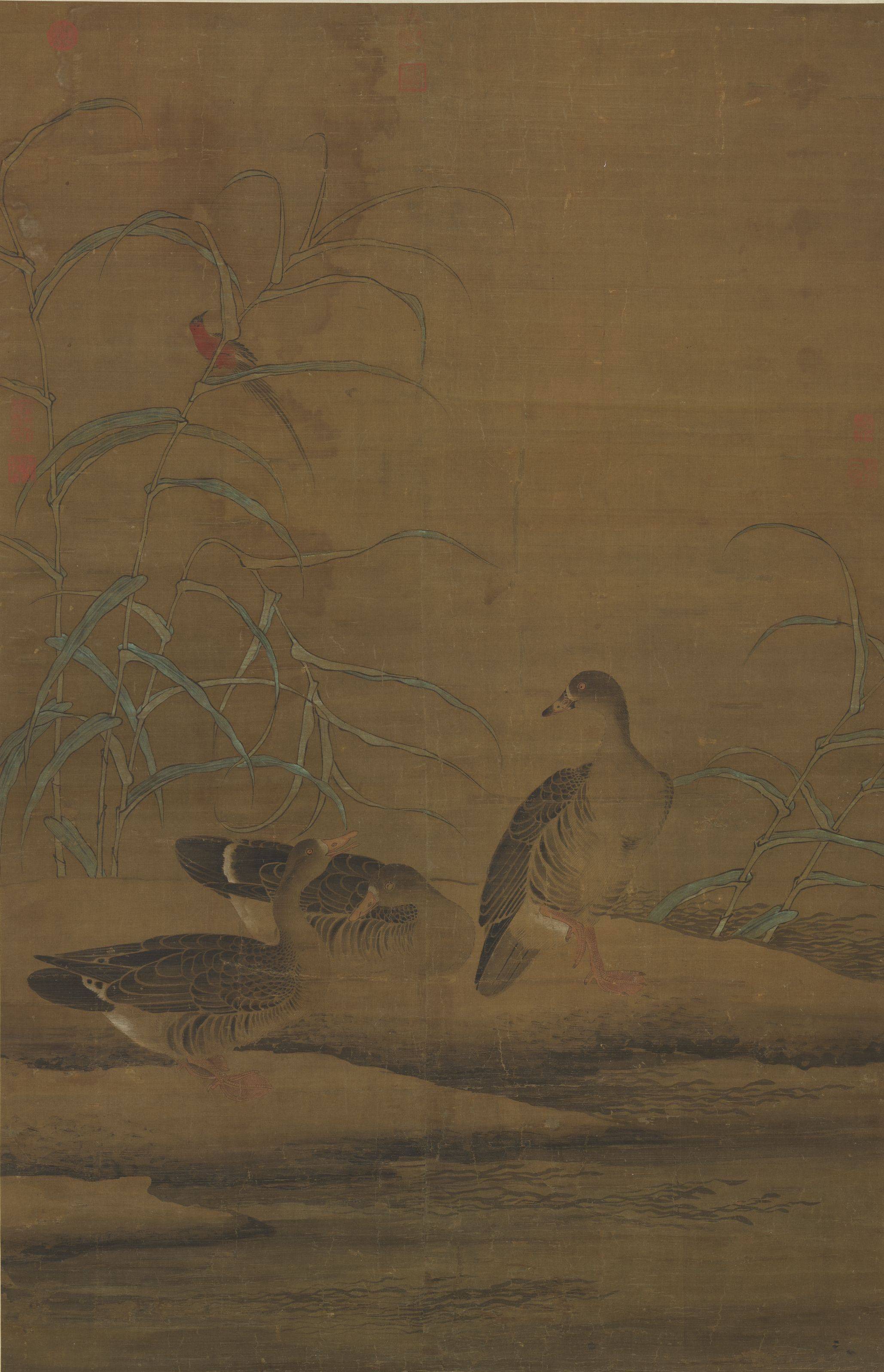 白露|故宫藏画里的芦雁:碧天飞去又飞还_崔白_局部_写实