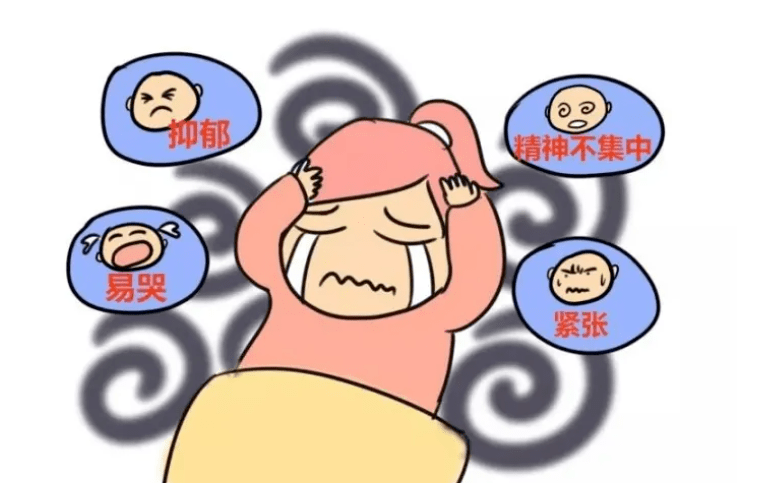 搜狐网