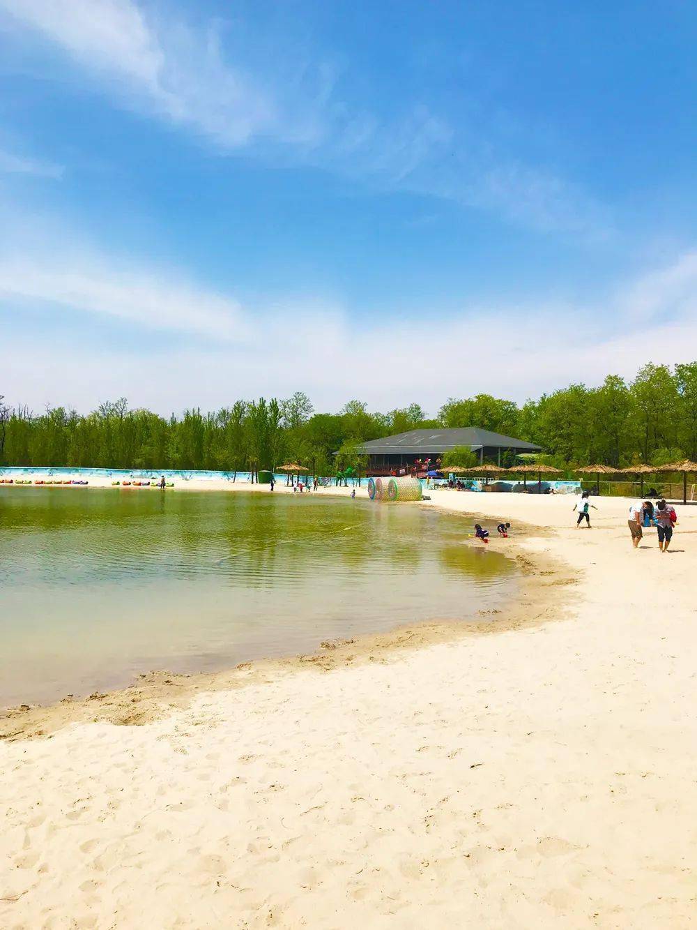 沙滩寻宝,抓螃蟹再掀热度狂潮唯美浪漫的郑州小马代重出江湖雁鸣蟹岛