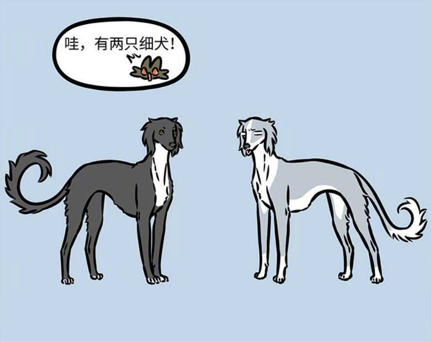 咱们的哮天呢原型也是中华细犬,不过配色是偏额这个是灰色?