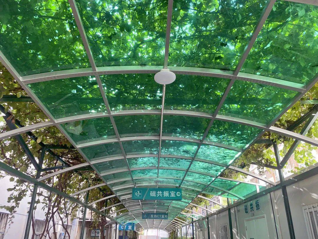 衡水市人民医院新建遮阳雨棚 打造便民保护层_群众_患者_实事
