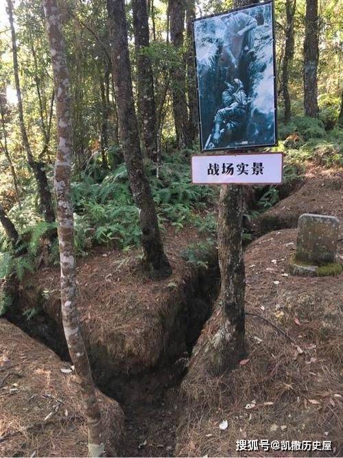 這些由松樹搭建的防禦陣地由多個主陣地,子陣地和前沿陣地組成,每個