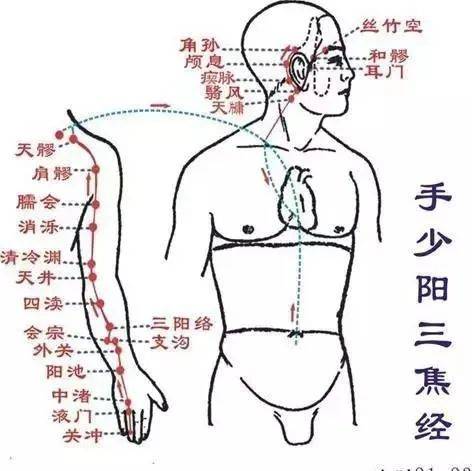 只要这里堵了,一辈子都跟健康无缘!_三焦_经络_气血