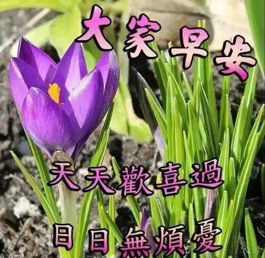 9月9日周五早安祝福语短信大全 秋季早上好问候动态表情图片带字带