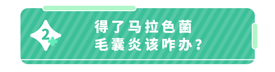 痤疮or毛囊炎？孩子身上这种痘到底是啥？一张图帮你分辨