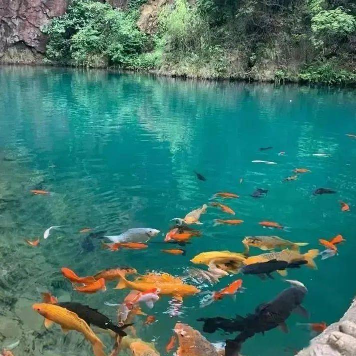 桐庐天气如何?小布都帮你问到啦!_富春江_台风_可以在